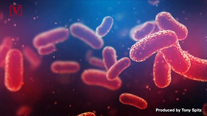 90% of Insects Found in Hospitals Carry Antibiotic Resistant 'Superbugs': Study