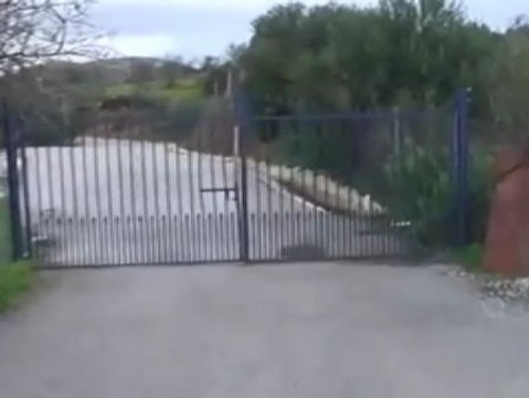 Convierten una plaza de toros en un invernadero para cultivar marihuana