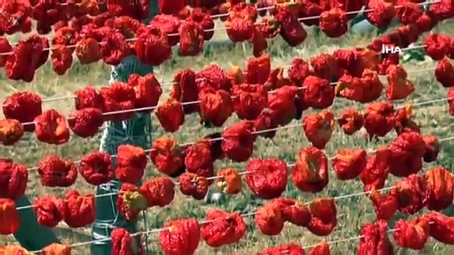 Gastronomi kenti Gaziantep kırmızıya boyandı