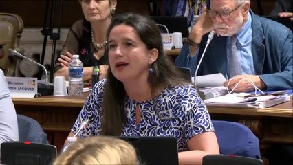 Céline MAGLICA en discussion générale le 24 juin 2019