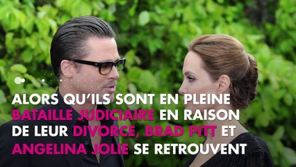 Brad Pitt et Angelina Jolie : Leur vin bat un nouveau record