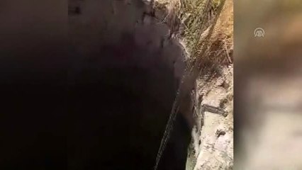 Kuyuya düşen inek kurtarıldı
