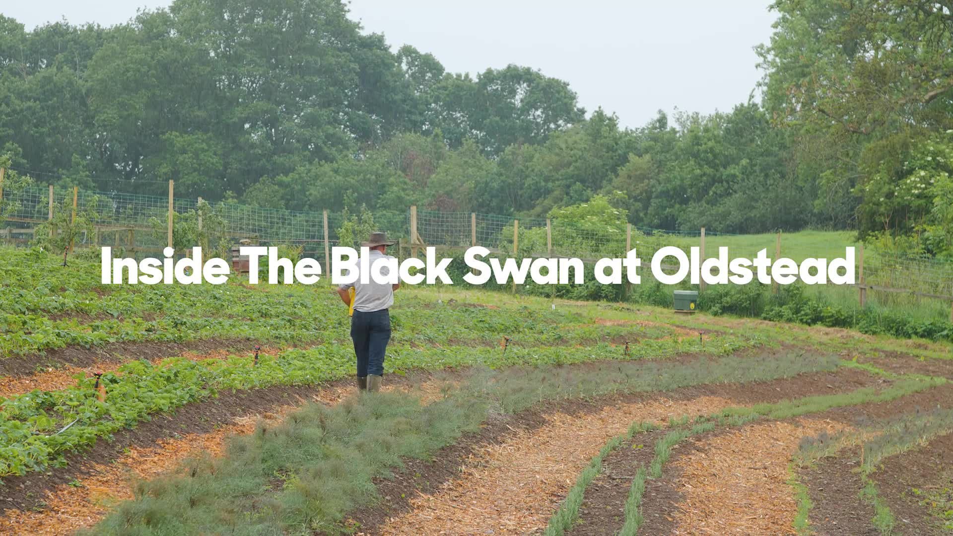 Inside the Black Swan at Oldstead with Tommy Banks