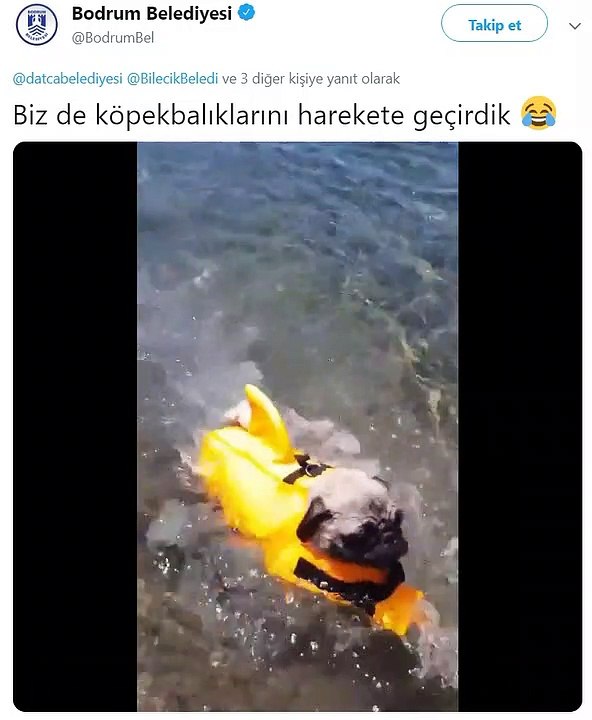 Bodrum Belediyesi Tweet