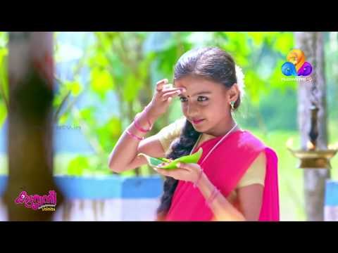 ധ്രുവം മൂവിയിലെ മമ്മുക്കയുടെ ഒരു അടിപൊളി സോങ് | Katturumbu | Viral Cuts | Flowers