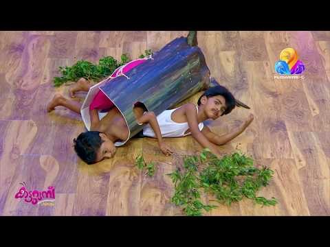 കലക്കി..!! മരം ഒരു വരം ...അടിപൊളി സ്‌കിറ്റുമായി കട്ടുറുമ്പുകൾ | Katturumbu | Viral Cuts | Flowers