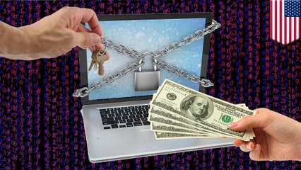 Florida city gives in to hackers' $600,000 ransom