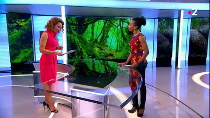 Outre-mer : des espèces rares menacées