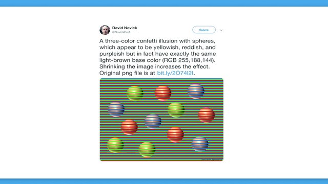 Di che colore sono veramente queste palline? La nuova illusione ottica che fa impazzire gli utenti di internet 3624