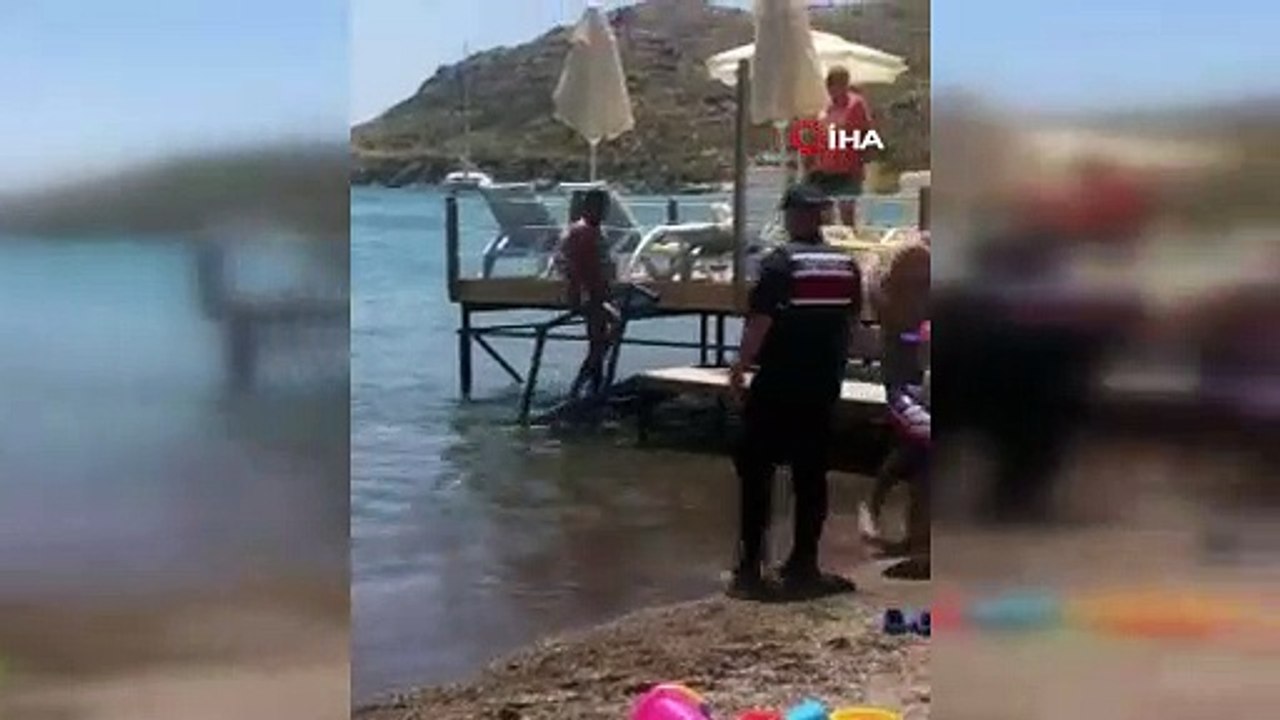 Bodrum'da plajda şortunu çıkaran teşhirciye meydan dayağı