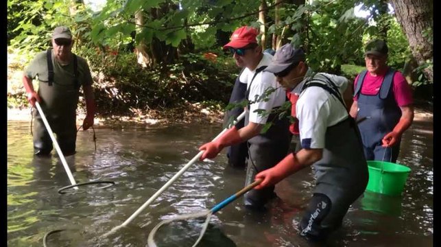 Pêche électrique d'inventaire dans la Barbuise