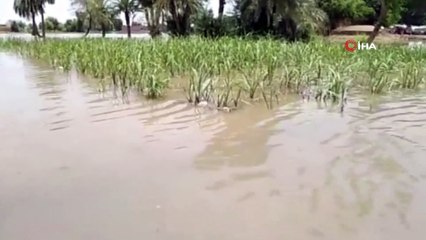 - Pakistan'da Sel: Yüzlerce İnsan Tahliye Edildi