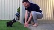 Cet homme apprend à son petit bulldog comment sauter. Trop mimi !