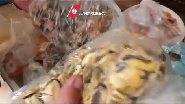 Polignano - Sequestrati 170 chili di pesce in due ristoranti erano senza tracciabilità o scaduti (24.06.19)
