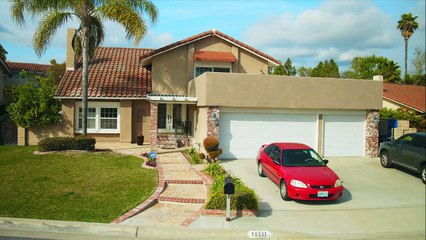 Catfinated - When Cats Drink Coffee