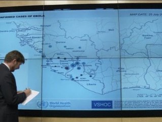 La OMS vigila de cerca la evolución del ébola en África