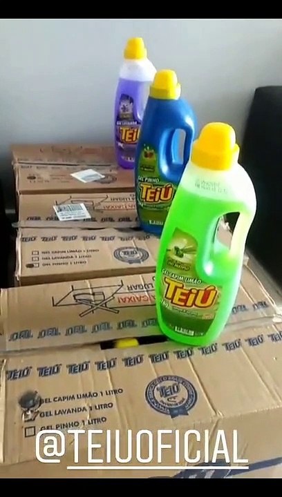 [Recebidos] Case 01 - Teiu