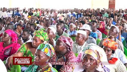 POLITIQUEMENT CORRECT2 LUN 10 06 2019 UFDG & RPG