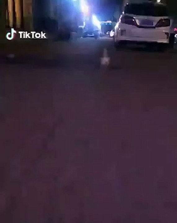 Admirez les petites ailes de cet adorable petit canard. Trop cute !