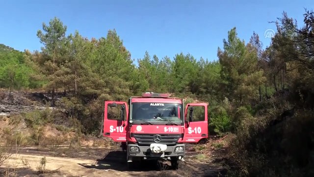 Alanya'da orman yangını - ANTALYA