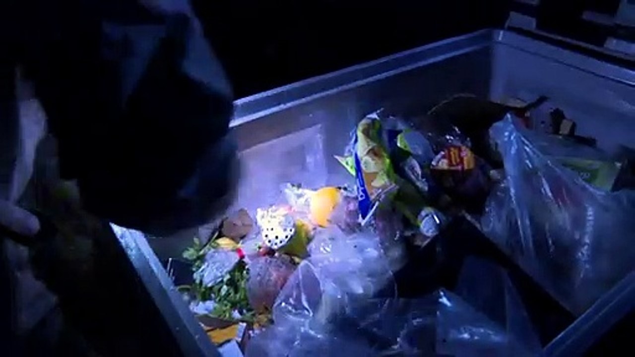 Containern: Illegales tun für Umwelt und Gewissen