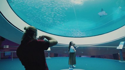 The New Range Rover Evoque | A Refined Point of View: Miami