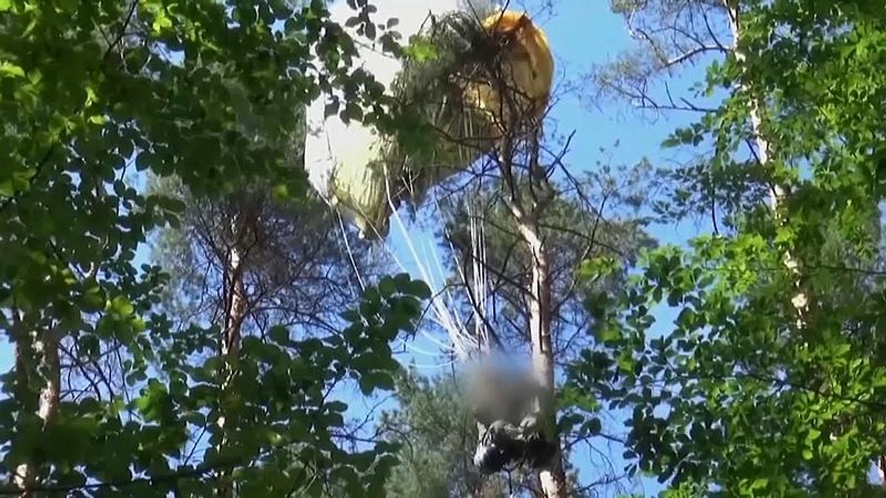 Ein Toter bei Eurofighter-Kollision in Mecklenburg-Vorpommern