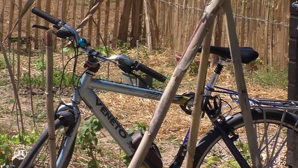 L'étonnant succès des potagers urbains