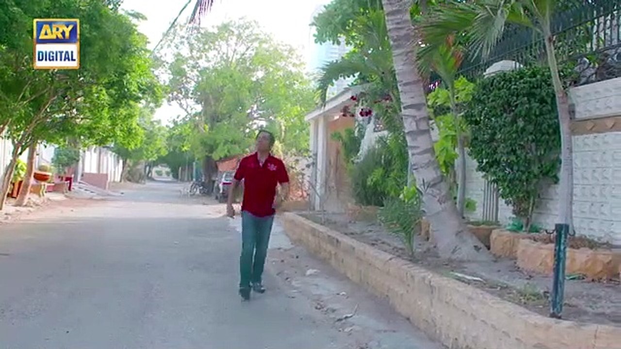 Bulbulay  Season 2  Episode 4  16th June 2019  ARY Digital Drama