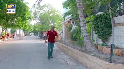 Bulbulay  Season 2  Episode 4  16th June 2019  ARY Digital Drama