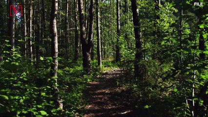 Sick Undocumented Worker Dies After Taken to Woods by Boss Who Refused to Call Ambulance