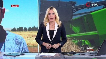 Yerli Tohumda Verim Arttı, Çiftçinin Yüzü Güldü