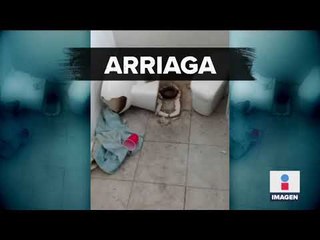 ¿En estas condiciones se podría tener una Guardia Nacional? | Noticias con Ciro Gómez Leyva