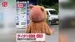 Japonya'da görülmemiş aslan yakalama tatbikatı