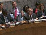 El Consejo de Seguridad de la ONU pide el inmediato cese de hostilidades en Gaza