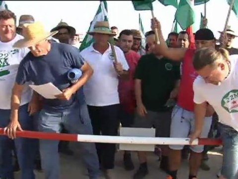 Jornaleros ocupan de nuevo la finca 'Las Turquillas'