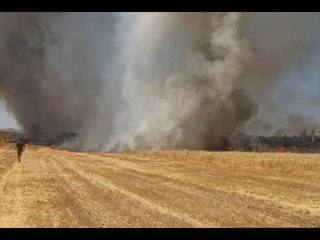 ما أسباب استهداف روسيا ونظام أسد للمحاصيل الزراعية في إدلب ؟ - هنا سوريا