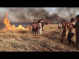 حرق آلاف الهكتارات من محصول الحبوب في سوريا .. من الفاعل؟ - هنا سوريا