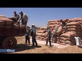 كم المبلغ الذي اقتطعه نظام أسد من مزارعي الحسكة .. ولماذا؟ - سوريا