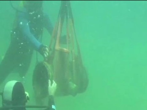 La guardia civil intensifica la vigilancia para evitar expolios subacuáticos