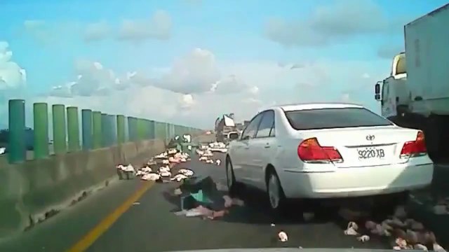 Un camion plein de poulets se renverse sur l'autoroute