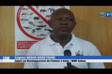 RTG/Le sous-comité technique de production durable de l’huile de palme adopte une norme nationale