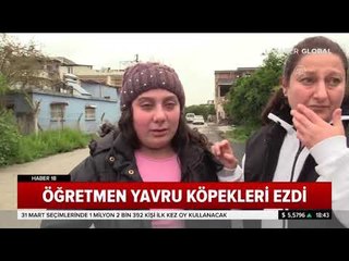 Yavru Köpekleri Ezen Sürücü Öğretmen Çıktı