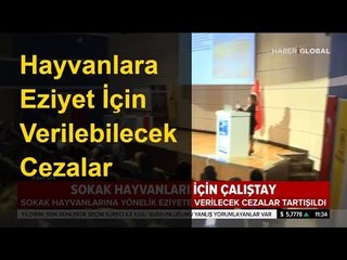 Hayvanlara Eziyet İçin Verilebilecek Cezalar