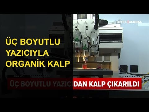 Üç Boyutlu Yazıcıyla Organik Kalp Üretildi