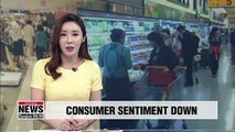 S. Korea's consumer sentiment index falls slightly in June: BOK