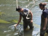 Los voluntarios sanan los ríos