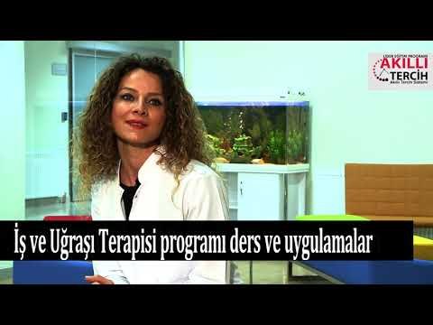 İş ve Uğraşı Terapisi programı ders ve uygulamaları