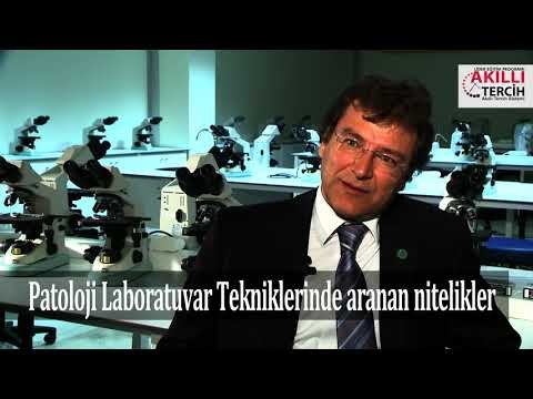 Patoloji Laboratuvar Teknikleri öğrencilerinde aranan nitelikler