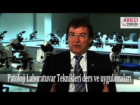 Patoloji Laboratuvar Teknikleri ders ve uygulamaları